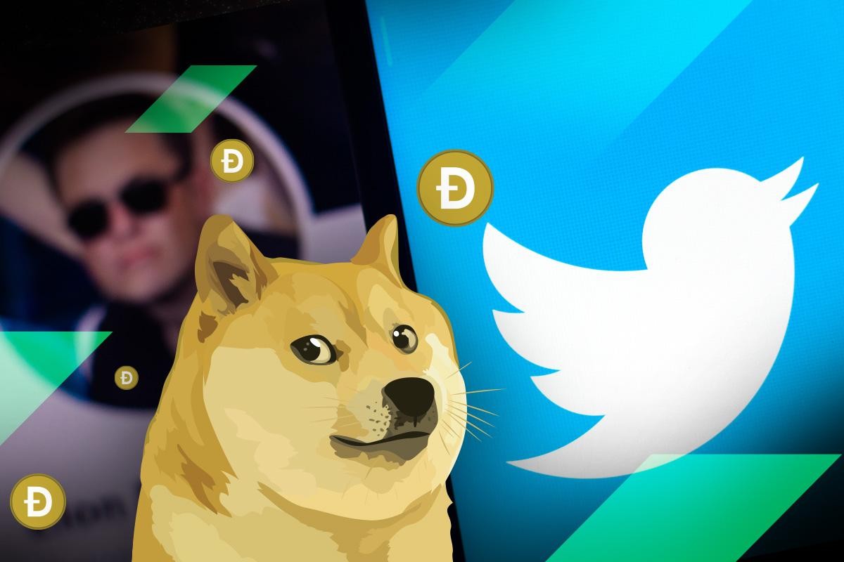 The 'dog' picture seen on Twitter, How ?
